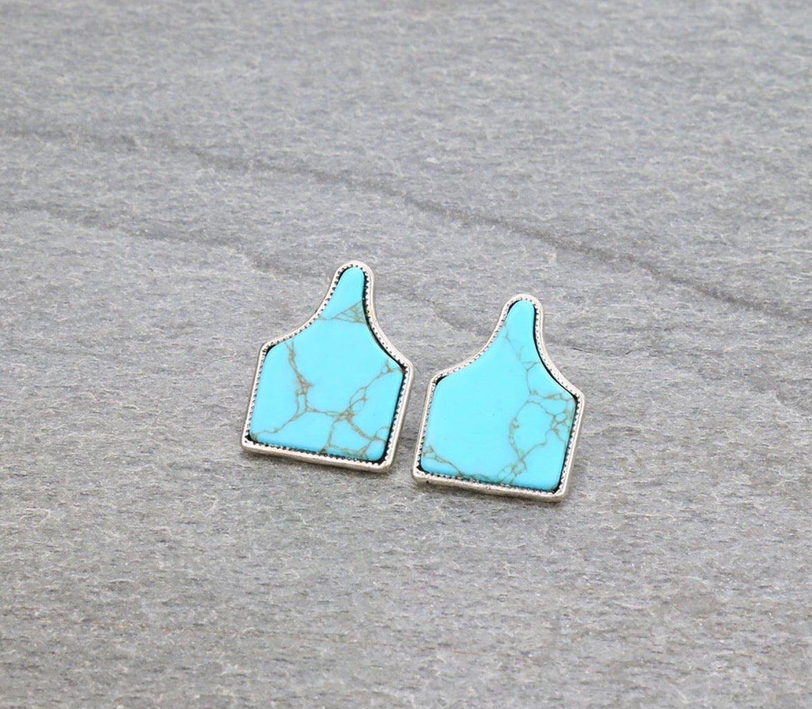 Western Cattle Tag Stone Stud Earrings - Turquoise